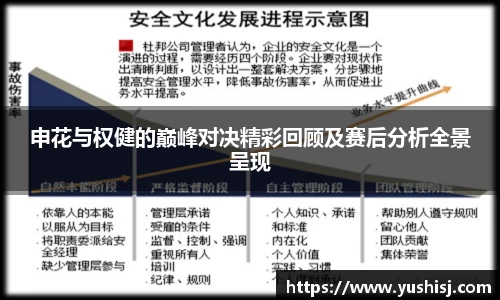 申花与权健的巅峰对决精彩回顾及赛后分析全景呈现
